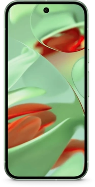 Google Pixel 9 256GB Wintergreen