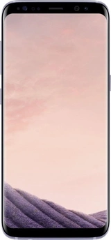 Samsung Galaxy S8 G950F Gray